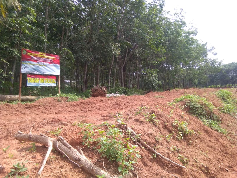 Tanah Milik Nilawati Diambil Alih Oleh Perusahaan Tanpa Izin, Minta Keadilan