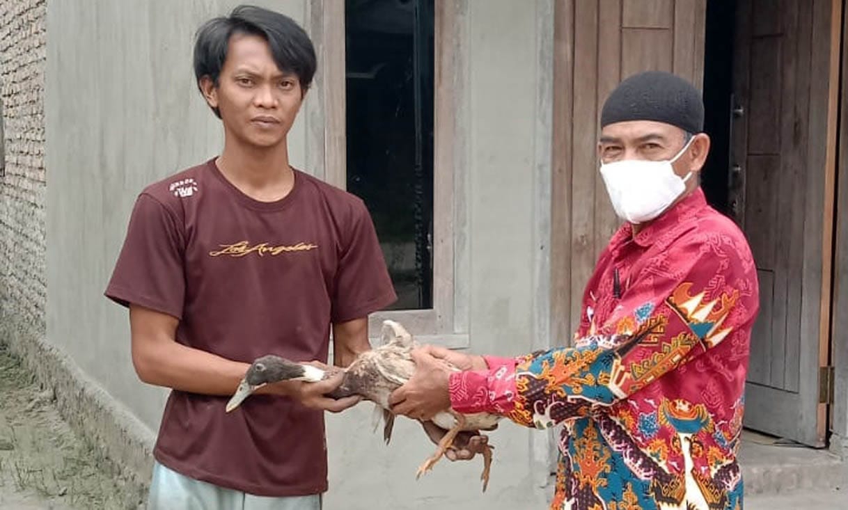 Disnakeswan Lamsel Berikan Bantuan 4 Ekor Itik dan 2 Kilogram Telur Kepada 4 KK di Sragi