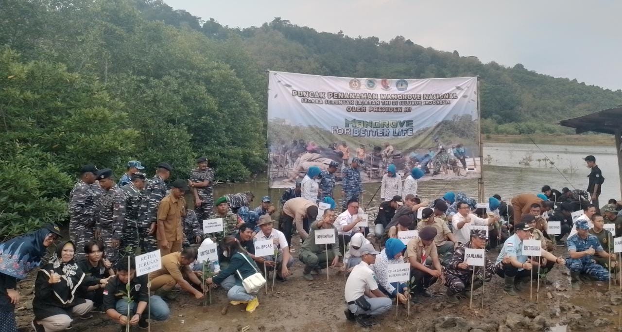 Presiden Joko Widodo Gelar Acara Penanaman Mangrove Secara Virtual Seluruh Indonesia