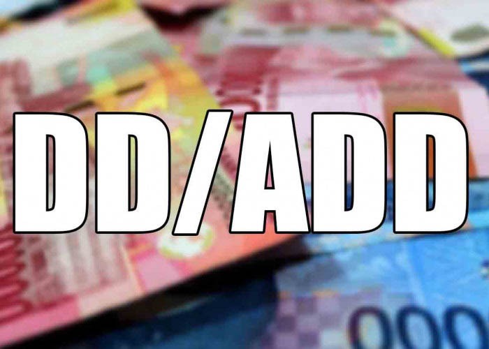 Soal ADD Dan DD, Kadis PMD: Pemkab Lampung Selatan Komitmen Salurkan Tepat Waktu