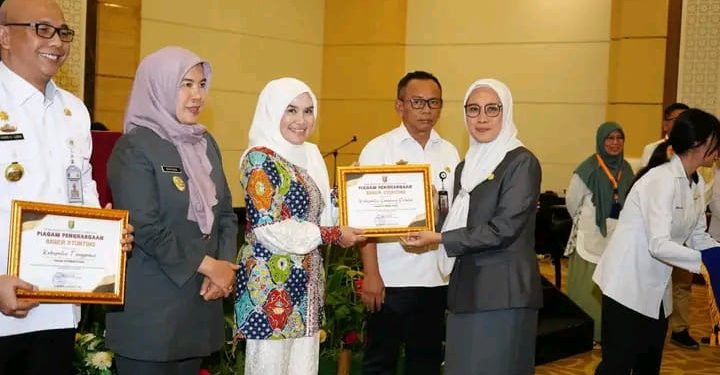 Lampung Selatan Jadi Kabupaten Percontohan Penanganan Stunting Nasional