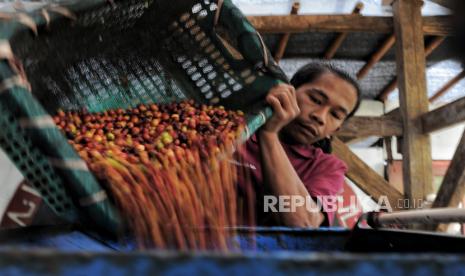 Cara Pengusaha Kopi Menjaga Kualitas Seduhan Saat Iklim Mulai Tak Bisa Diprediksi