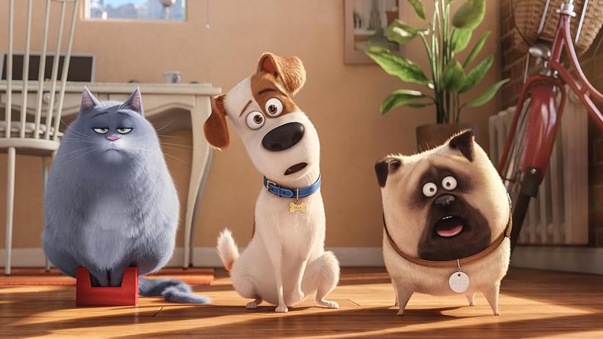 5 Movies About Cats and Dogs That Bring Our Favorite Pets to Life