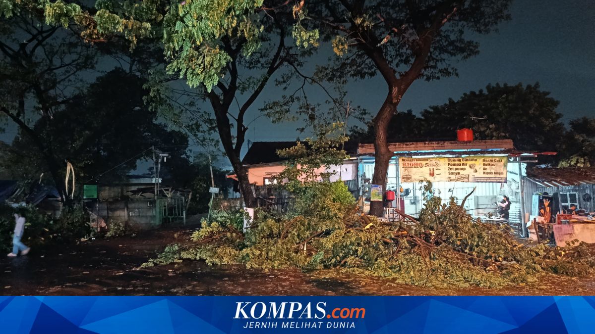 Cuaca Ekstrem Terjang Bekasi, Puluhan Pohon Tumbang di 5 Kecamatan