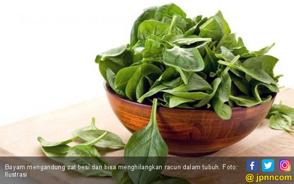 4 Bahaya Jus Bayam, Tingkatkan Risiko Gangguan Fungsi Tiroid