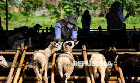 Ratusan Petugas Diterjunkan untuk Awasi Kelayakan Hewan Kurban di Bandung