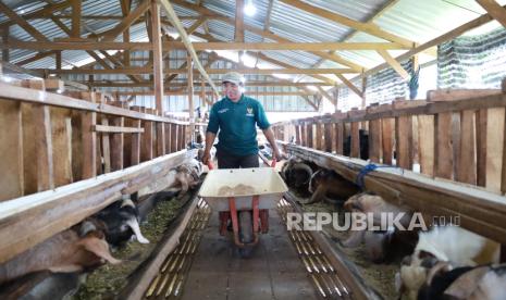 BAZNAS Perkuat Digitalisasi Kurban 2026