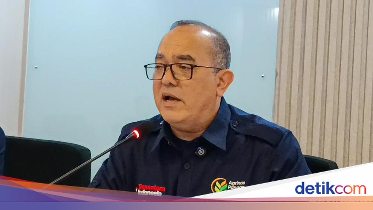 Bos Agrinas soal Utang Kopdes: Itu Hak Kemenkeu, Saya Tukang Bangunan