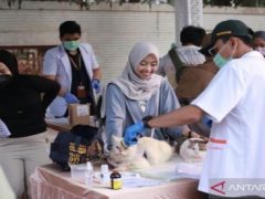 Karantina Kalsel Gelar Vaksinasi Rabies Gratis di Car Free Day Banjarmasin